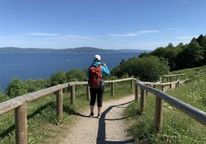 Unternehmer arbeitet mit Team an Business Skalierung im Büro mit Laptop und hellen Tageslicht